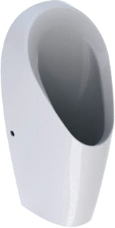 Geberit - Tamina Urinoir (goot) Waterloos