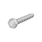Flamco - SCS Zelfdraadsnijdende schroef Fast Zb.Bschr 7,5X50