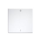 Eltako - 55-serie Bed.element / centr.pl. schakelmat. bedelem 30000957
