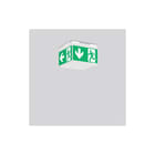 RZB - Signcube Mini Noodverlichtingsarmatuur  672291.002.89