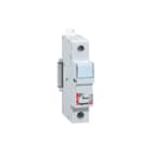Legrand - LEXIC DIN Glaszekeringhouder Scheider 05808