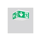 RZB - Signcube Midi Noodverlichtingsarmatuur  672299.002.89
