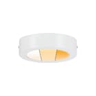 Paulmann - Plafond-/wandarmatuur wd carpo 12w ledpanel 12w