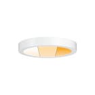 Paulmann - Plafond-/wandarmatuur Wd Carpo Ledpanel 18W 300