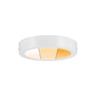 Paulmann - Plafond-/wandarmatuur wd carpo 12w ledpanel 15w