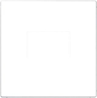 Jung - Bed.element / centr.pl. schakelmat. Afd Ls990 Laadcds Awit