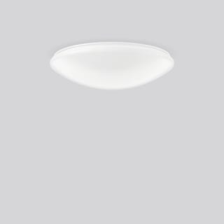 RZB - Flat Polymero Plafond-/wandarmatuur  312244.002.3