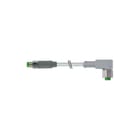 MURR - Connection technology F&B Sensor/actorkabel met connector 3x0.25 ul/csa 2m