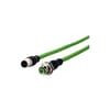 Miniatuur 1