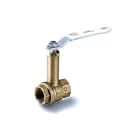 Raminex - Kogelafsluiter 272607