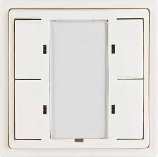 BEG - Luxomatnet KNX pushmodule Tastsensor bussysteem knx drukknopmodule 4x