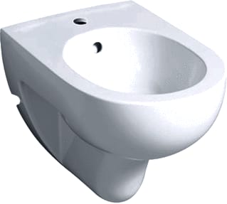 Geberit - RENOVA Bidet Wandbidet 55Cm Wit