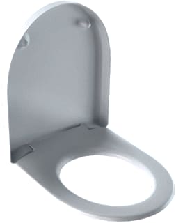 Geberit - 300 Basic Closetzitting Zit Softclose Wt