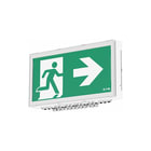 Eaton Blessing - Signaleringsarmatuur Flexitech Ft2Cw4Iucgl 20M