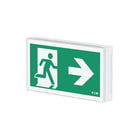 Eaton Blessing - Signaleringsarmatuur Flexitech Ft3Cc4Iucgl 30M