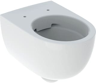 Geberit - Closet 300 Comfort Wnd-Wc Rimfree