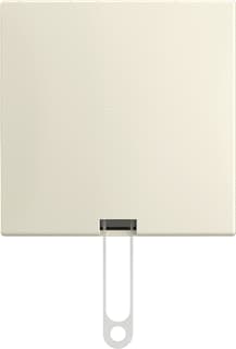 ABB Busch-Jaeger - AP Installatieschakelaar Trekschakelaar Opb B-Ap Wit