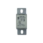 Eaton - Bussmann Smeltpatroon (mes) smeltpatr 170m1781