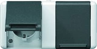 Jung - WG800 Wandcontactdoos (WCD schakelmat.) Wcd Ra 2V Hor Kompl