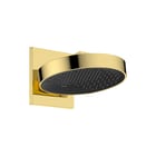 Hansgrohe - Rainfinity 250 Douchekop hfddch 250 pgo