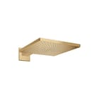 Hansgrohe - Raindance E 300 Douchekop Raindanc Hfddch Bbr