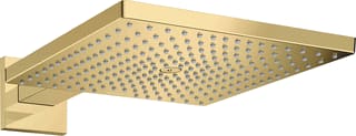 Hansgrohe - Raindance E 300 Douchekop raindanc hfddch 300 pgo