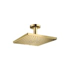Hansgrohe - Raindance E 300 Douchekop raindanc hfddch 300 pgo