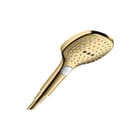 Hansgrohe - Raindance Select E 120 Handdouche rd sel handdouch120 pgo