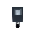 Performance in lighting - THEOS GLASS MINI Straat- en pleinverlichtingsarm. theos m35 100 740 dal nema