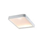 Paulmann - Plafond-/wandarmatuur Meubopbwlmp Led Vane