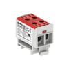 Miniatuur 1