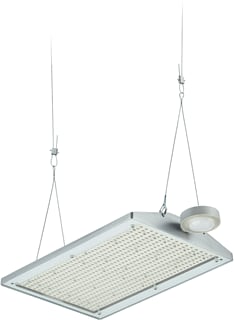 Philips - Halstraler HALSTRALER