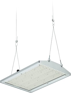 Philips - Halstraler HALSTRALER