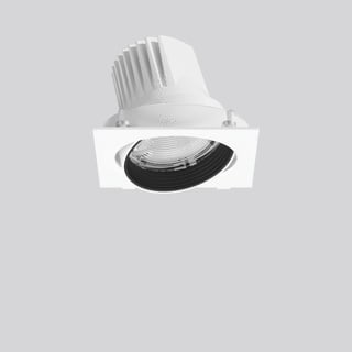 RZB - Magcardo Downlight/spot/schijnwerper 722197.002