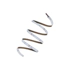 Ledvance - LED Strip Value Lichtslang/-band ledstrip v2000/865/5/ip66