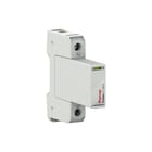 Raycap - Gecombineerde afleider energietech. Protube T1-100-0+1