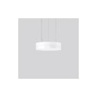 RZB - Flat Slim Round Pendelarmatuur 312641.002.76