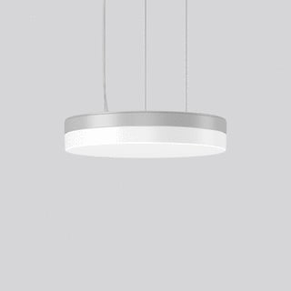 RZB - Flat Slim Round Pendelarmatuur  312643.004.730
