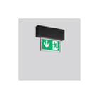RZB - Halyxx Noodverlichtingsarmatuur 672458.003.1