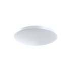 Prolumia - Ecodisc Maxi Plafond-/wandarmatuur maxi 21w 3000k