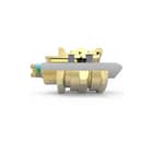 HAWKE - Wartel kabel-/buisinvoer 423cm32np