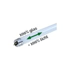 Megaman - LED-lamp t8 led 120cm 1550lm 3000k