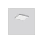 RZB - Triona Plafond-/wandarmatuur  312436.004.1.730