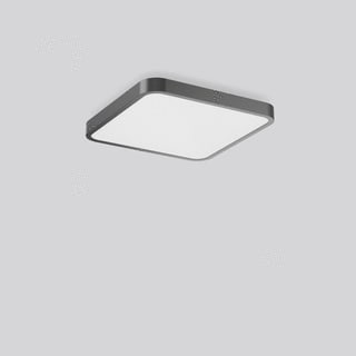 RZB - Triona Plafond-/wandarmatuur 312437.0031.76