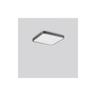 RZB - Triona Plafond-/wandarmatuur 312437.0031.76