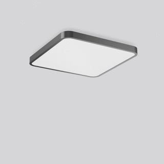 RZB - Triona Plafond-/wandarmatuur  312440.0031.1.730