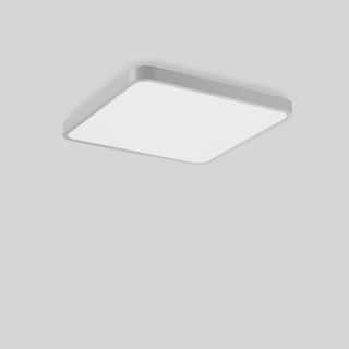 RZB - Triona Plafond-/wandarmatuur 312440.004.1.76