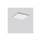 RZB - Triona Plafond-/wandarmatuur  312441.004.1.730