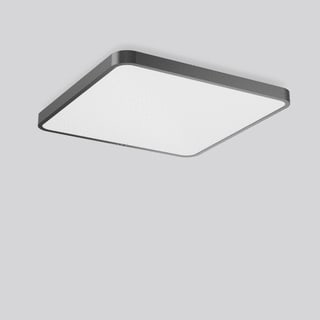 RZB - Triona Plafond-/wandarmatuur 312444.0031.1.730