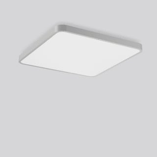 RZB - Triona Plafond-/wandarmatuur 312445.004.730